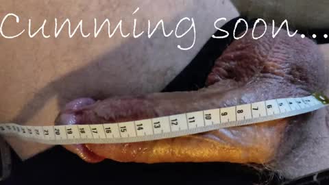 Size King  online show from April 2026 06:21:01 AM