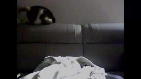 Snapshot of skater19xxx chatting on December 2024 04:09:01 AM miguel online show from December 2024 04:09:01 AM