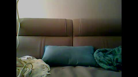 Snapshot of skater19xxx chatting on December 2024 09:01:01 PM miguel online show from December 2024 09:01:01 PM