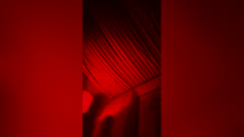 Snapshot of skindiana_bones chatting on February 2026 10:40:02 AM skindiana_bones online show from February 2026 10:40:02 AM