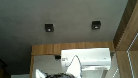 Snapshot of skinnykittencam chatting on September 2025 05:14:01 PM skinnykittencam online show from September 2025 05:14:01 PM