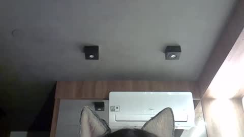 Snapshot of skinnykittencam chatting on September 2025 05:57:02 AM skinnykittencam online show from September 2025 05:57:02 AM