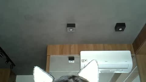 Snapshot of skinnykittencam chatting on October 2025 04:26:02 PM skinnykittencam online show from October 2025 04:26:02 PM