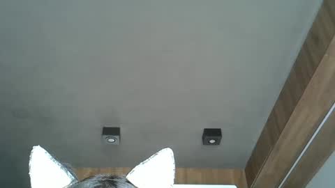 Snapshot of skinnykittencam chatting on October 2025 04:59:01 PM skinnykittencam online show from October 2025 04:59:01 PM