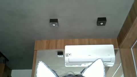 Snapshot of skinnykittencam chatting on October 2025 05:36:02 PM skinnykittencam online show from October 2025 05:36:02 PM