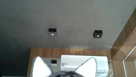 Snapshot of skinnykittencam chatting on October 2025 06:43:01 PM skinnykittencam online show from October 2025 06:43:01 PM