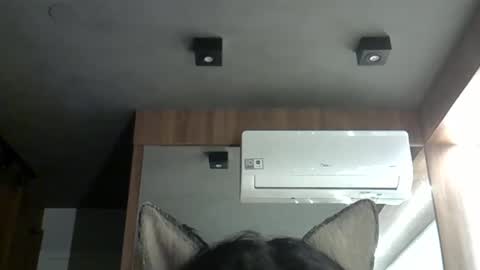 Snapshot of skinnykittencam chatting on October 2025 01:39:01 AM skinnykittencam online show from October 2025 01:39:01 AM