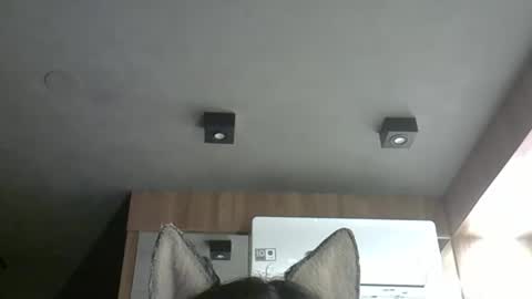 Snapshot of skinnykittencam chatting on October 2025 02:08:02 AM skinnykittencam online show from October 2025 02:08:02 AM
