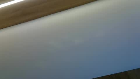 Snapshot of skinnykittencam chatting on October 2025 08:54:02 PM skinnykittencam online show from October 2025 08:54:02 PM