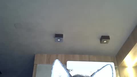 Snapshot of skinnykittencam chatting on November 2025 12:07:01 PM skinnykittencam online show from November 2025 12:07:01 PM