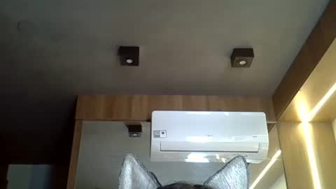 Snapshot of skinnykittencam chatting on November 2025 01:33:02 PM skinnykittencam online show from November 2025 01:33:02 PM