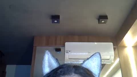 Snapshot of skinnykittencam chatting on November 2025 08:46:02 AM skinnykittencam online show from November 2025 08:46:02 AM
