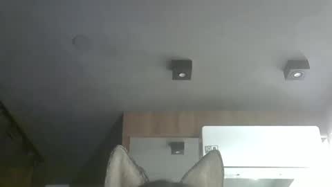 Snapshot of skinnykittencam chatting on November 2025 01:16:01 AM skinnykittencam online show from November 2025 01:16:01 AM