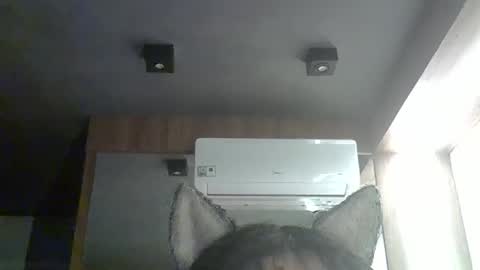 Snapshot of skinnykittencam chatting on January 2026 12:26:01 AM skinnykittencam online show from January 2026 12:26:01 AM
