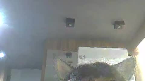 Snapshot of skinnykittencam chatting on January 2026 03:01:02 AM skinnykittencam online show from January 2026 03:01:02 AM