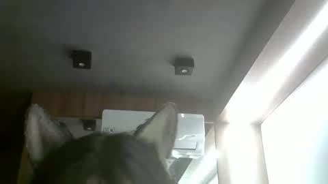 Snapshot of skinnykittencam chatting on February 2026 04:00:02 AM skinnykittencam online show from February 2026 04:00:02 AM