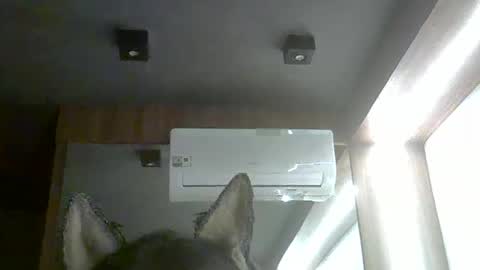 Snapshot of skinnykittencam chatting on February 2026 10:14:01 PM skinnykittencam online show from February 2026 10:14:01 PM