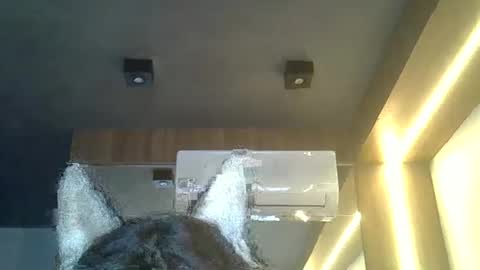 Snapshot of skinnykittencam chatting on February 2026 08:23:01 PM skinnykittencam online show from February 2026 08:23:01 PM