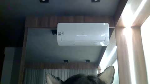 Snapshot of skinnykittencam chatting on February 2026 02:49:02 AM skinnykittencam online show from February 2026 02:49:02 AM