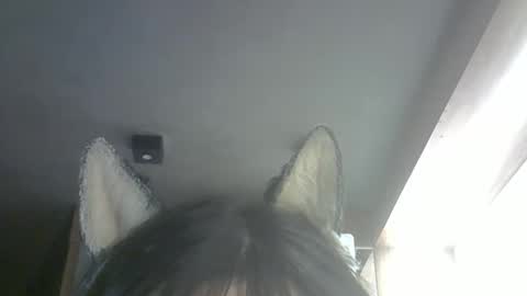 Snapshot of skinnykittencam chatting on February 2026 10:25:01 AM skinnykittencam online show from February 2026 10:25:01 AM