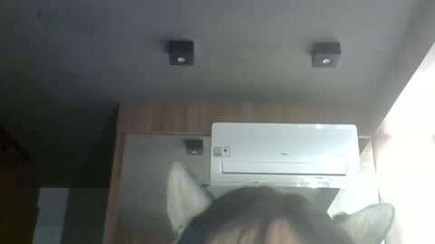 skinnykittencam online show from February 2026 03:29:02 AM