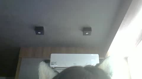skinnykittencam online show from March 2026 05:51:02 PM