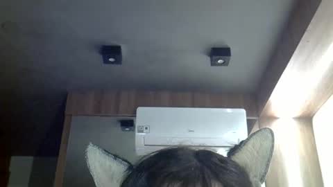 skinnykittencam online show from May 2026 03:07:02 PM