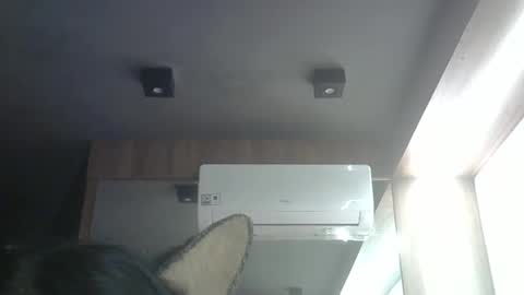 skinnykittencam online show from May 2026 03:13:02 AM