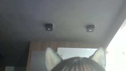 skinnykittencam online show from May 2026 01:02:02 AM