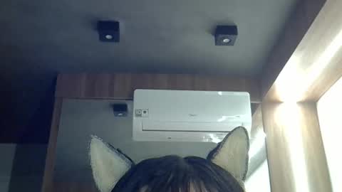 skinnykittencam online show from May 2026 04:07:02 AM