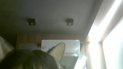 skinnykittencam online show from May 2026 08:47:01 PM