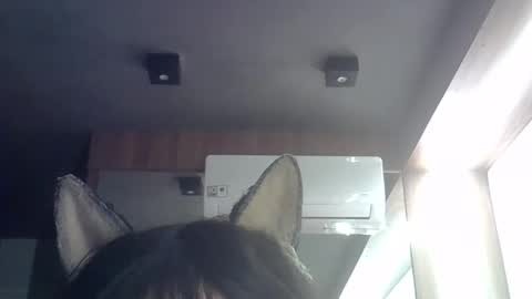skinnykittencam online show from May 2026 09:16:02 AM
