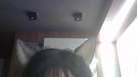 skinnykittencam online show from May 2026 03:28:01 PM