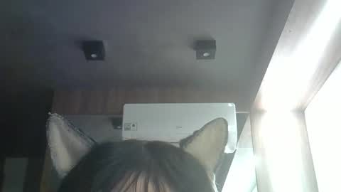 skinnykittencam online show from May 2026 03:38:01 PM