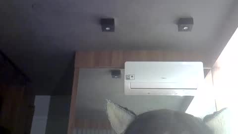 skinnykittencam online show from May 2026 06:54:02 AM