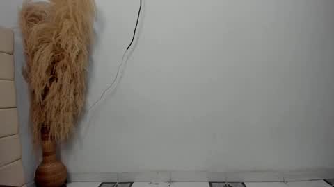 Snapshot of sky_dancer chatting on December 2025 11:05:01 AM Reuben online show from December 2025 11:05:01 AM