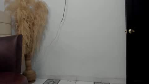 Snapshot of sky_dancer chatting on December 2025 02:14:02 PM Reuben online show from December 2025 02:14:02 PM