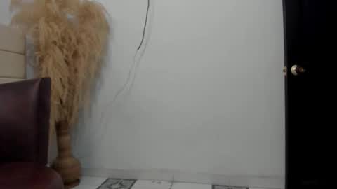 Snapshot of sky_dancer chatting on December 2025 02:20:02 AM Reuben online show from December 2025 02:20:02 AM