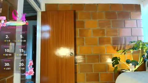Snapshot of sky_fox_1 chatting on June 2026 09:13:01 PM STIVEN online show from June 2026 09:13:01 PM