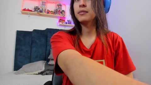 Snapshot of sky_liink chatting on January 2025 09:50:02 PM Santiago online show from January 2025 09:50:02 PM