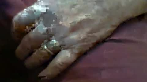 ResqPylot2 online show from February 2026 04:13:01 PM