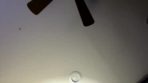 Slickdog online show from January 2025 06:03:01 AM