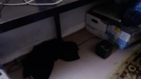 Snapshot of sliderguy699 chatting on April 2026 10:48:02 PM sliderguy699 online show from April 2026 10:48:02 PM