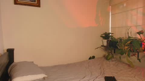 Snapshot of slowburnmystic chatting on February 2026 10:31:01 PM slowburnmystic online show from February 2026 10:31:01 PM