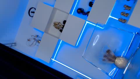 Ariana online show from January 2025 11:43:02 AM