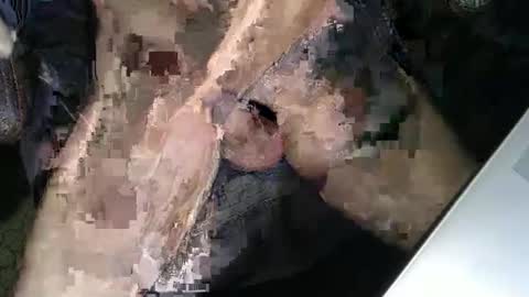 Snapshot of slyfast1 chatting on December 2025 05:02:01 AM slyfast1 online show from December 2025 05:02:01 AM