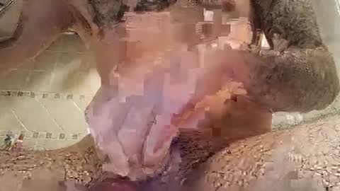 Snapshot of smallone8825 chatting on March 2025 06:27:01 AM smallone8825 online show from March 2025 06:27:01 AM