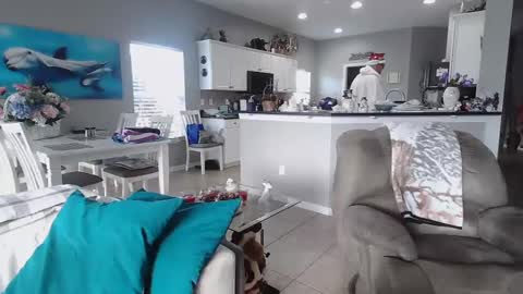 Snapshot of smallpenisbigtongue chatting on December 2024 02:23:02 PM Daddy online show from December 2024 02:23:02 PM