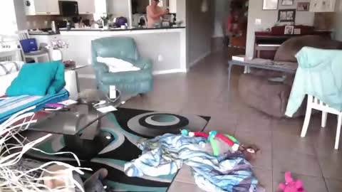 Daddy online show from March 2026 01:33:02 PM