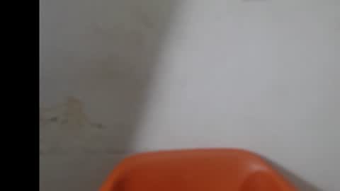 Snapshot of smallsluty chatting on June 2026 07:15:01 PM smallsluty online show from June 2026 07:15:01 PM